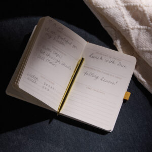 JBG46 Gratitude Journals Interior Fall 24 1 300x300