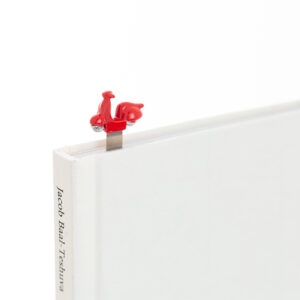 Saygan Scooter 300x300