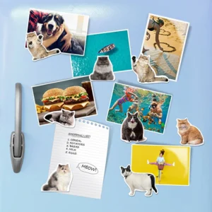 145318M16201B 4 300x300