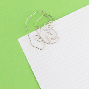 53f641d8 52ca 47ee A048 Ba90e79d861f Cb0585 300x300