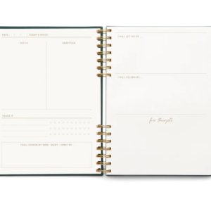 JDW80 1003LiveWellInterior Edit 300x300