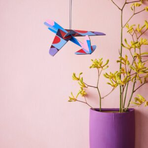 ROBIN PLANE SINGLE AMBIENT 300x300