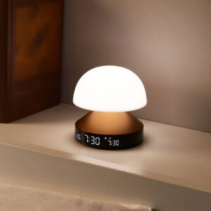 3660491206137 13 300x300