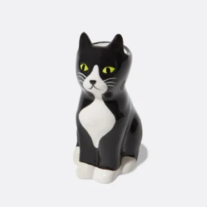 DYVASXSCAT 1800x1800 300x300