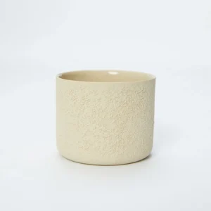 Buntera Home - Anasayfa