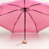 Mini Umbrella Fraise Open Handle Original Duckhead 100x100