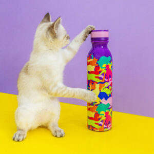 Bouteille Thermos Isotherme Keep Cool Bottle 1 300x300