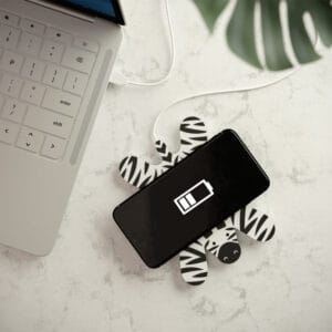 M11039b Zebrawirelesscharger 04 850x850 1 300x300