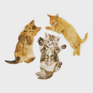 74758 Sk Nailcat1 300x300