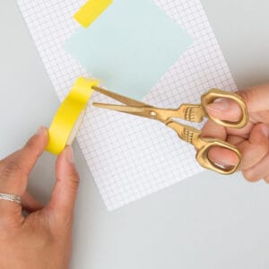 76916 Skuyll Scissors Hand Cutting 300x300