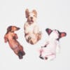78482 Dog Nail Files 100x100