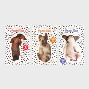 78488 Dog Nail Files Square Grey 300x300