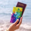 Porte Passeport Pc Voyage 8 100x100
