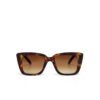 Elba Unisex Güneş GözlüğüHavana / Lens : Kahverengi Gradyan