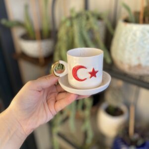 Ayyıldız Türk kahvesi bardağı