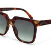 Roma Unisex Güneş GözlüğüHavana/ Lens: Yeşil