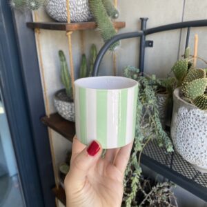 Mint Striped Bardak