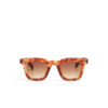 Firenze Unisex Güneş Gözlüğü Sahara Havana / Lens: Kahverengi Gradyan