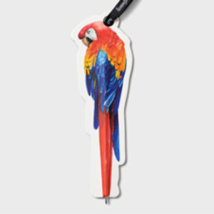 IF Eclectionery Parrot Flat Kalem Ayraç
