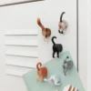 Kedi Popo Mıknatısları 6'lı