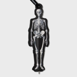 IF Eclectionery Skeleton Flat Kalem