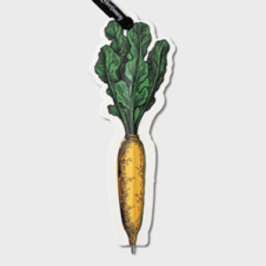 IF Eclectionery Flat Pens Carrot