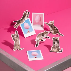 Fun Action Cat Magnets 1679065 300x300