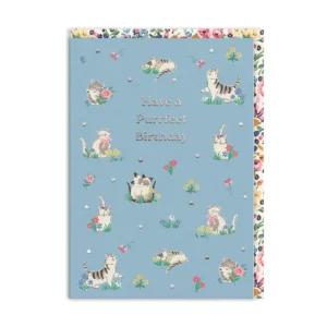 Ohh Deer Cath Kidston A6 Kart Purrfect Birthday Kittens