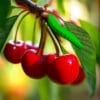 Foodie Cherry Anahtarlık / Çanta Aksesuarı