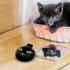 Pylones Aynalı Katlanabilir Saç Fırçası - Lady Retro - Black Cat