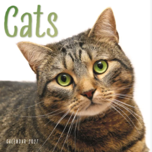 Carousel Calendars Cats 2027 Aylık Duvar Takvimi