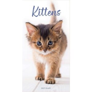 Carousel Calendars Kittens Slim 2027 Haftalık Ajanda